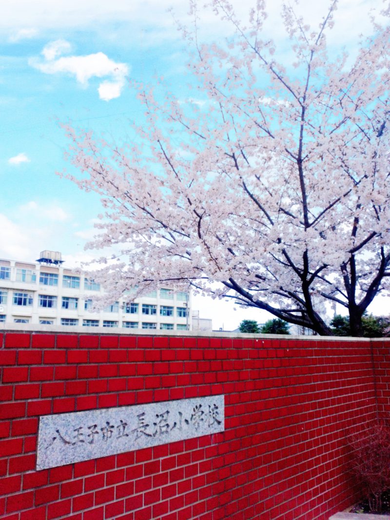 青空と満開の桜と小学校