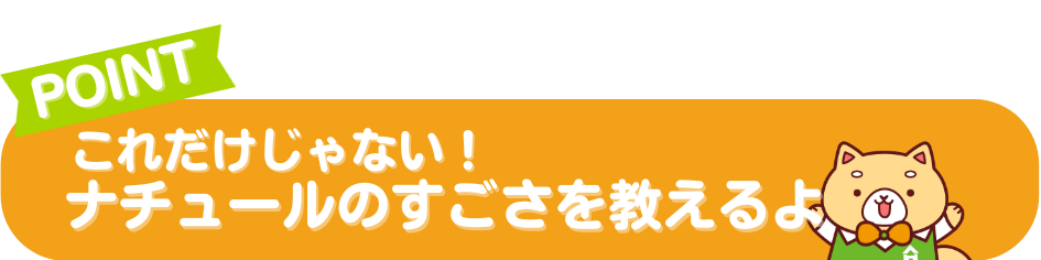 漆喰と無垢の家に住む最大のメリット